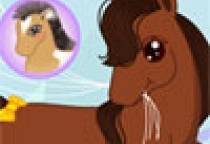 Ponys in der Stadt