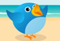 Tweet Birds
