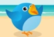 Tweet Birds