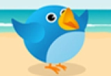 Play Tweet Birds