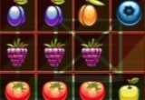 1010 Fruits Farming