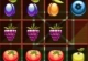 1010 Fruits Farming