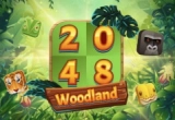 2048 Woodland