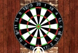 501 Darts