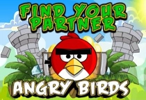 Angry Birds Puzzle