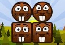 Beaver Blocks 2