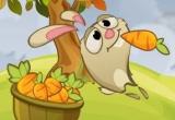 Play Carrot Rush