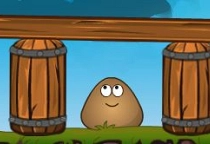 Cover Pou