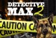 Play Detective Max 2