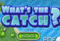 Fische Fangen Spiel
