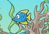 Fish Race Champions 2