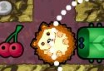 Hedgehog Cute