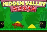 Play Hidden Valley Ninja