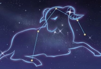 Horoskop Puzzle