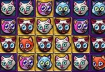 Katzen Bejeweled