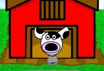 Kuh Farm