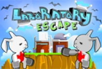 Laboratory Escape
