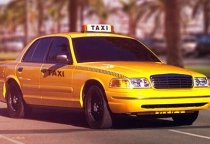 Miami Taxi Driver