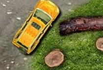 Parken im Wald