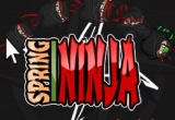 Play Spring Ninja