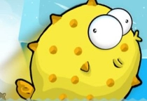 Tiny Balloon Fish