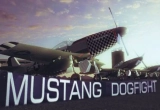 Play Mustang Dogfight