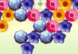 Play Flower Power 2