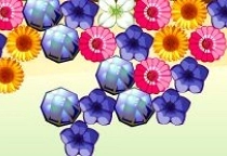 Flower Power 2
