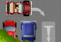 Skilled Parker