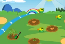 Vegetable Garden