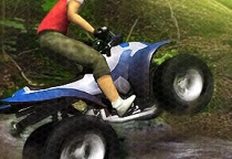 Jungle Quad