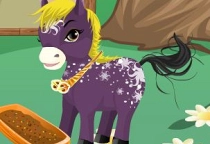 Pony Prinzessinnen