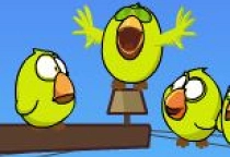 Save the Birds