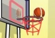 World Basketball Championship