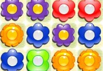 Flowers Match