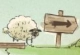 Home Sheep Home