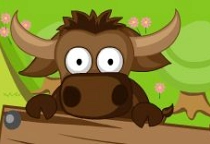 Animal Rescue Zoo