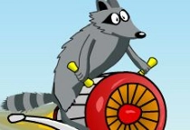 Crazy Raccoon