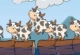 Freaky Cows