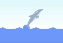 Delphin Olympiade