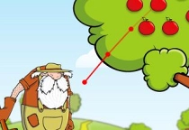 Orchard 2