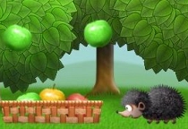 Apple Orchard