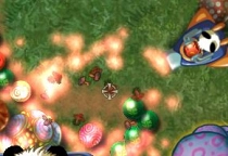 Eco Bears