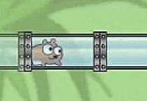 Harry the Hamster