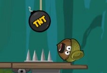 Doctor Acorn
