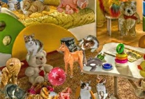 Wimmelbild Katzen
