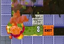 Explodierende Schlange
