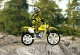 Dirt Bike 2