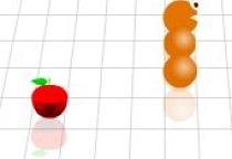 3D Worm