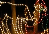 Play Christmas Lights